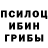 Галлюциногенные грибы Cubensis vinnie pux
