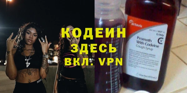 твердый Гусев