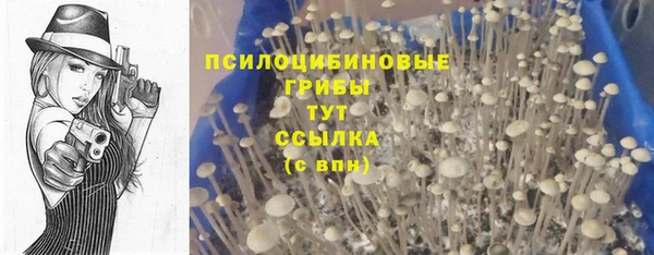 мяу мяу мука Новозыбков