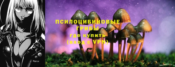 мяу мяу мука Нязепетровск