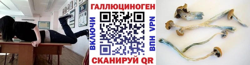Псилоцибиновые грибы MAGIC MUSHROOMS  ссылка на мегу ССЫЛКА  Светлогорск 